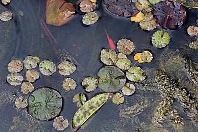 霓虹灯下的混乱和大屠杀 《故障朋克》开启抢先体验